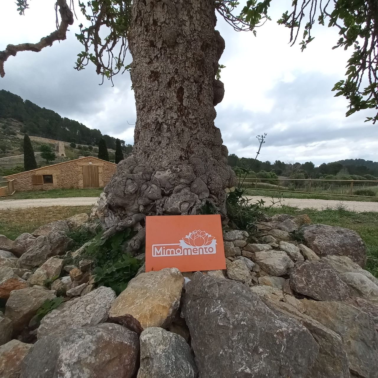 Laura Moran Mendoza-5