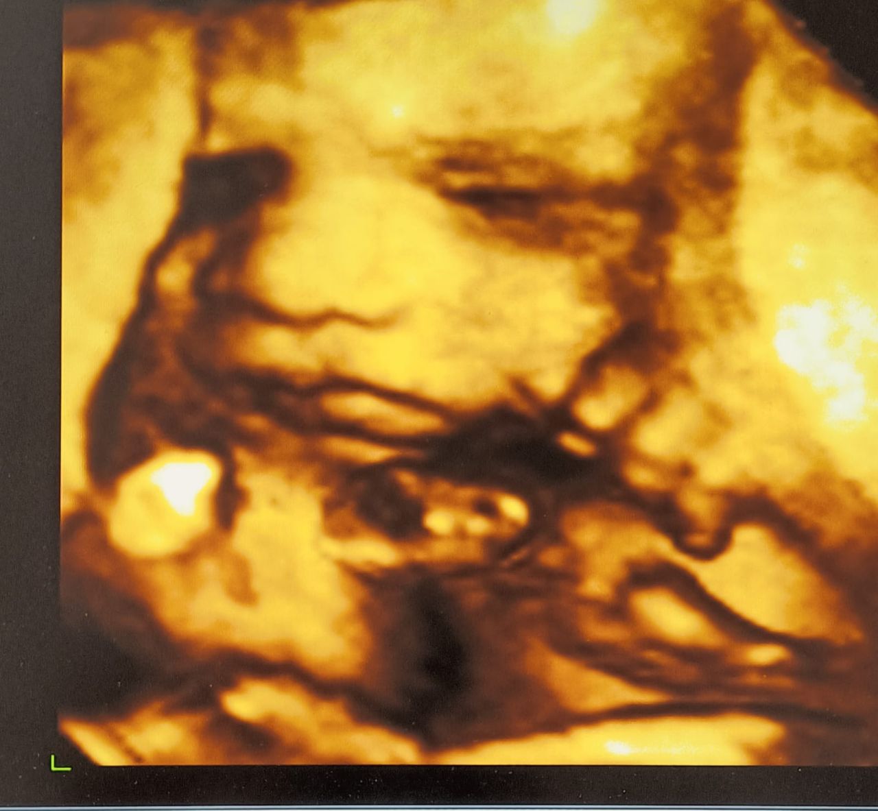 Maria Elena Salzillo-4