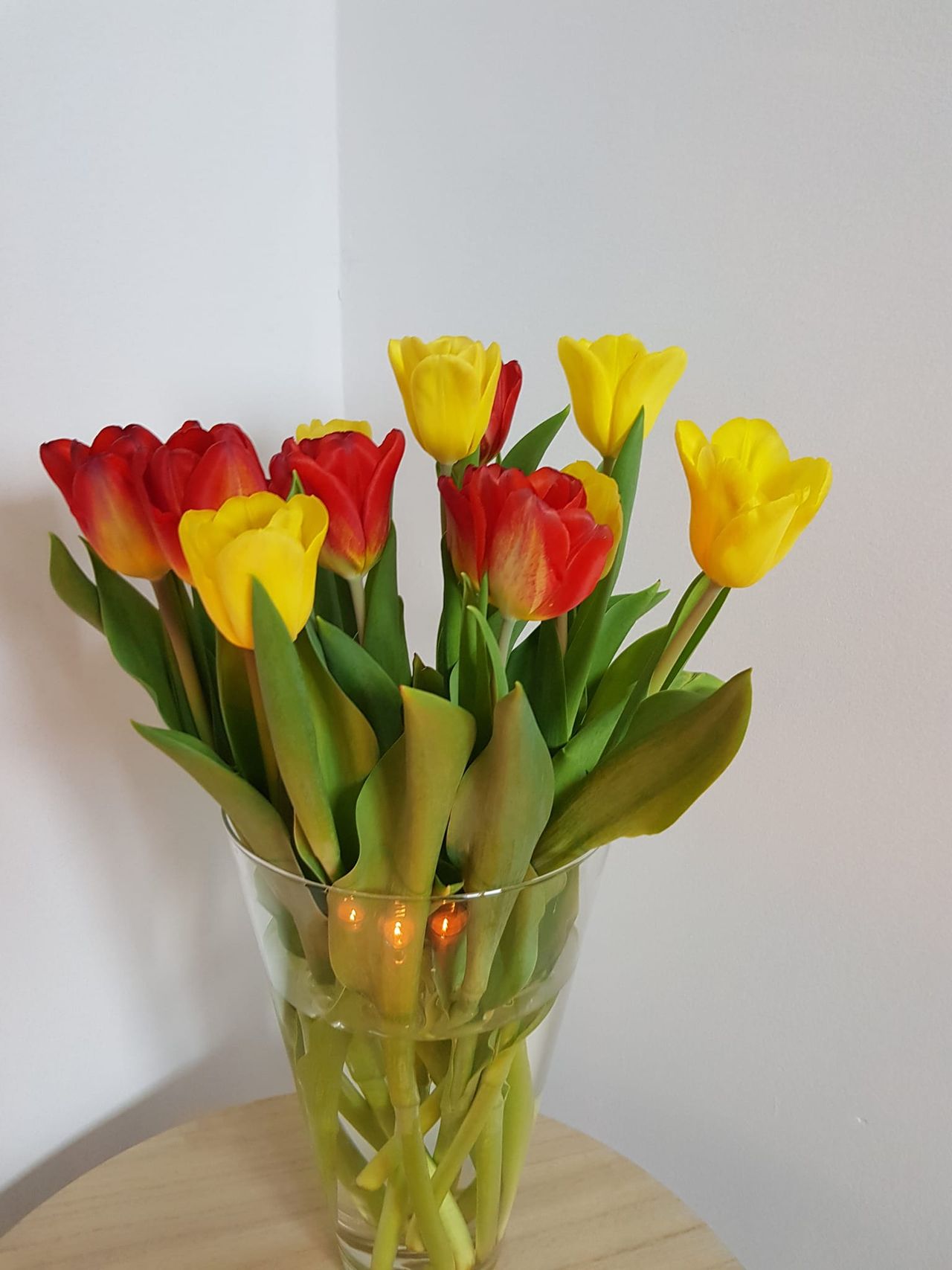 Agnieszka Chojnacka-6