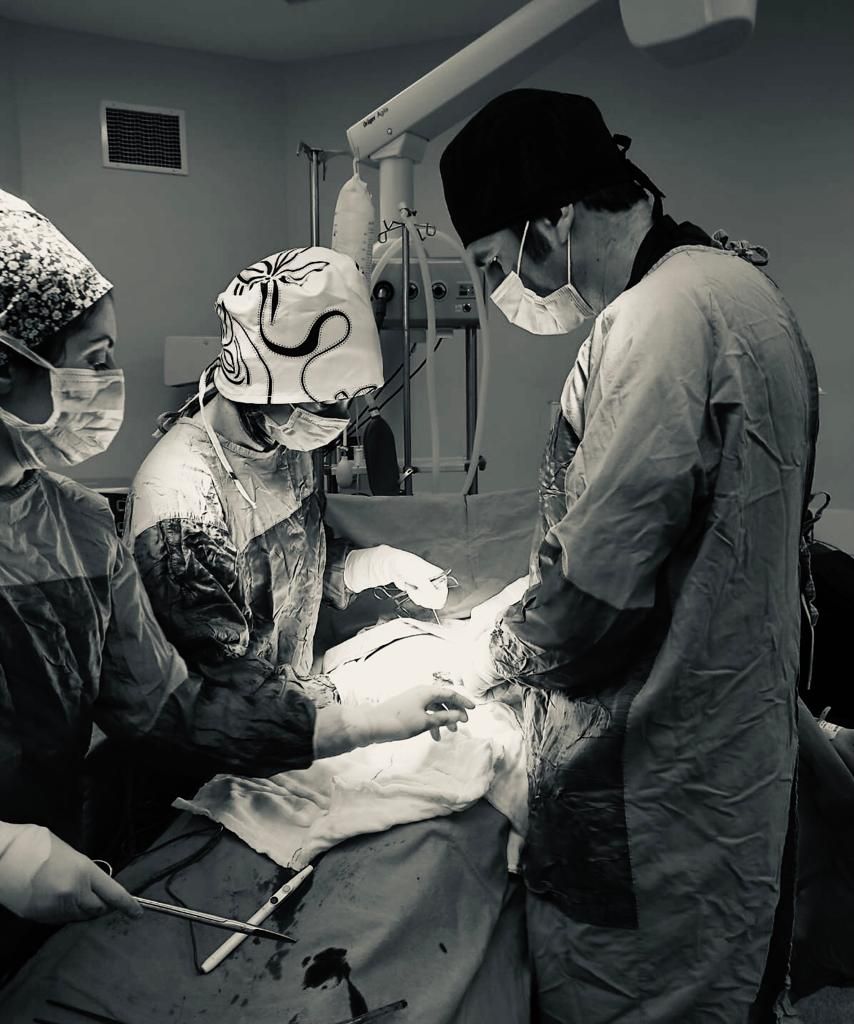 Dilek Turğut Kestane-35