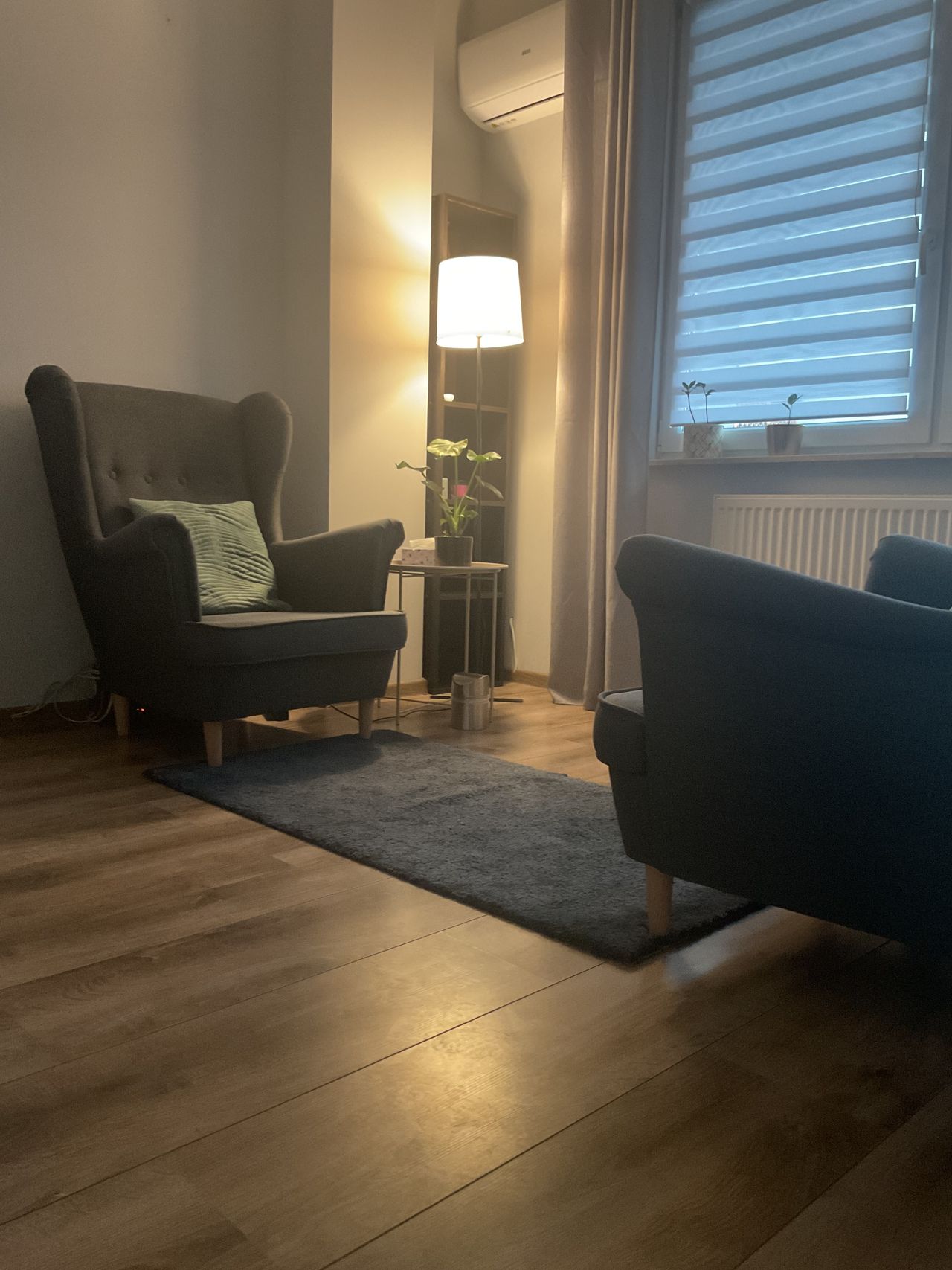 Agnieszka Skwarczyńska-Szlasa-8