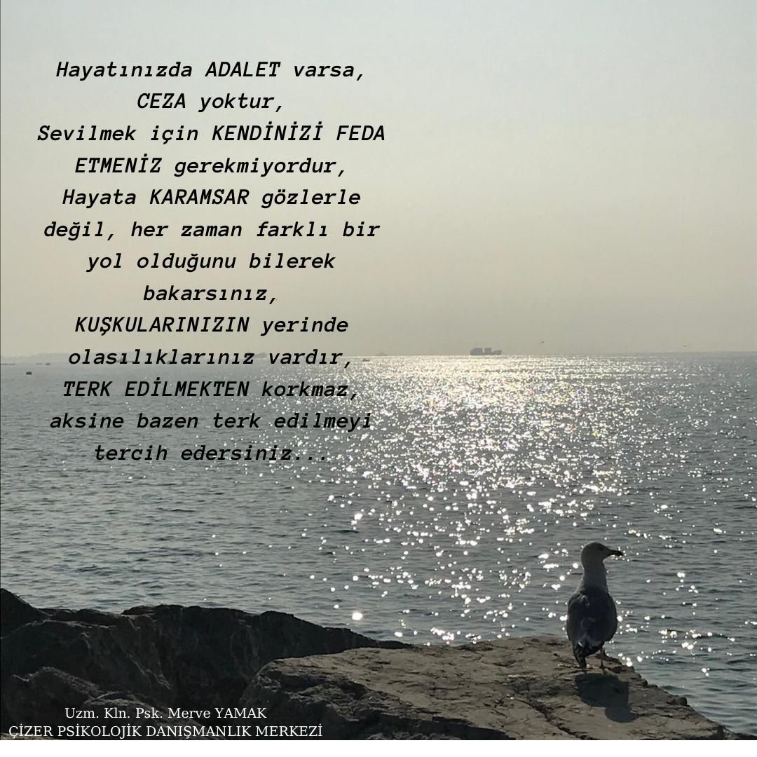 Ayşe Merve Yamak Küçükemirler-3