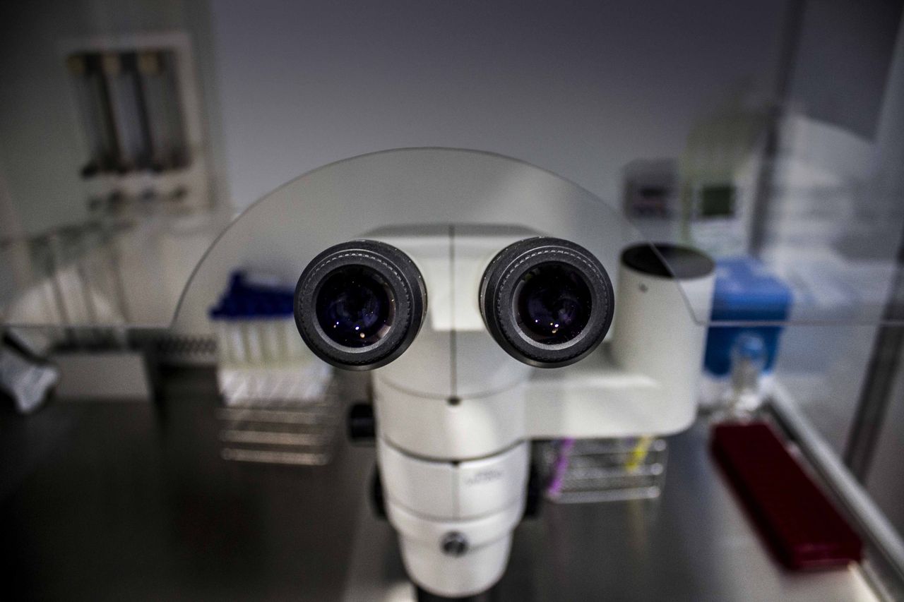 Jorge Alonso Zafra-5