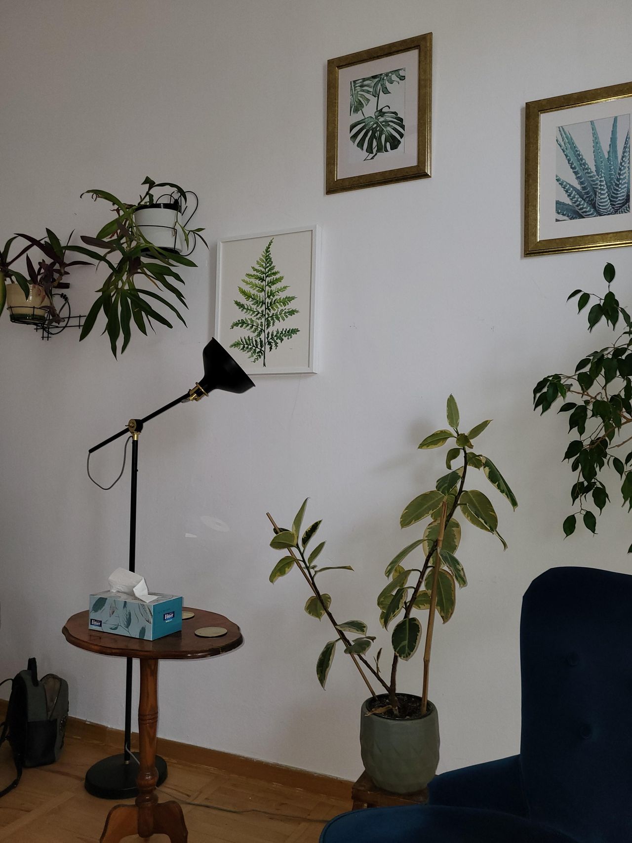 Agnieszka Dębniak-2