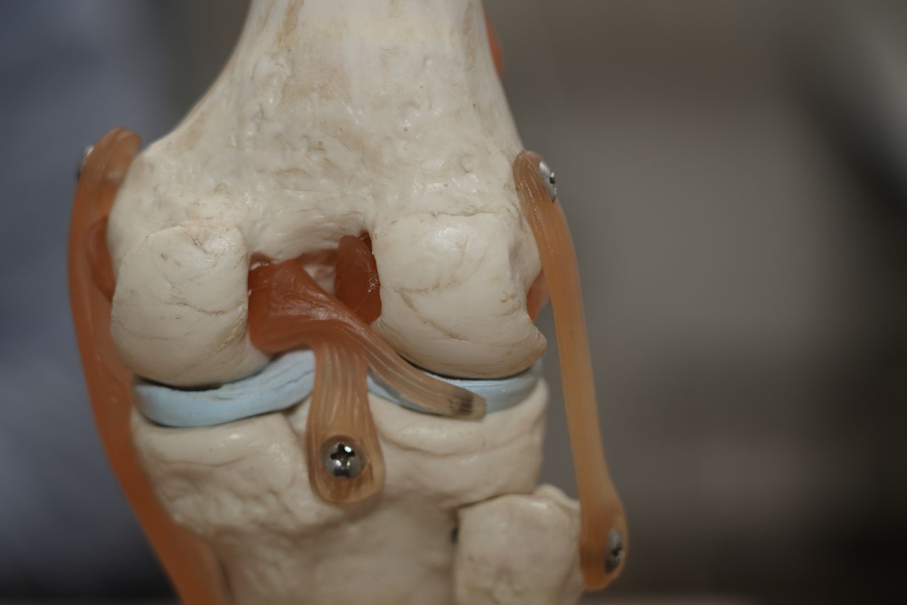 Adrián Gallego Goyanes-8