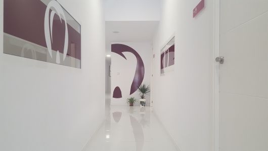 Helena Pérez Palau-1