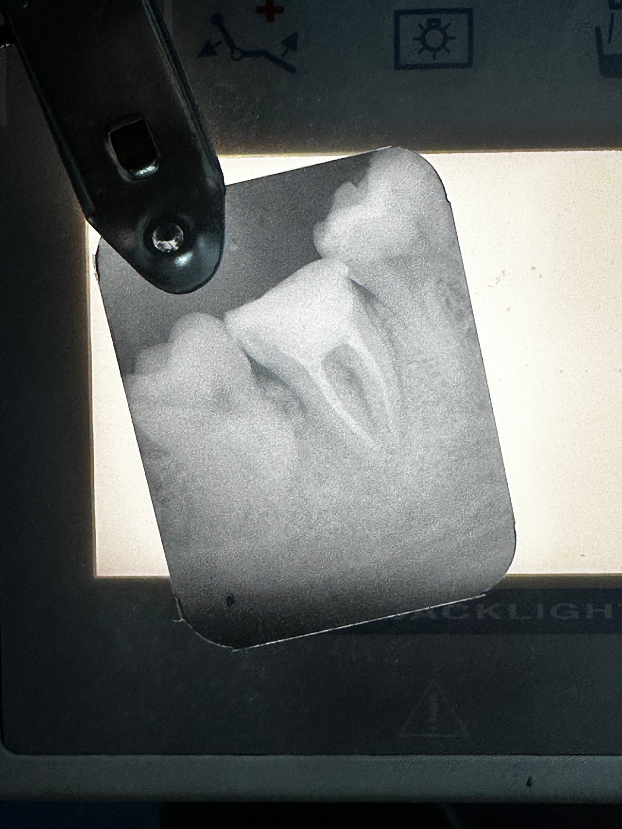 Carlo Andrea Rizzi-2