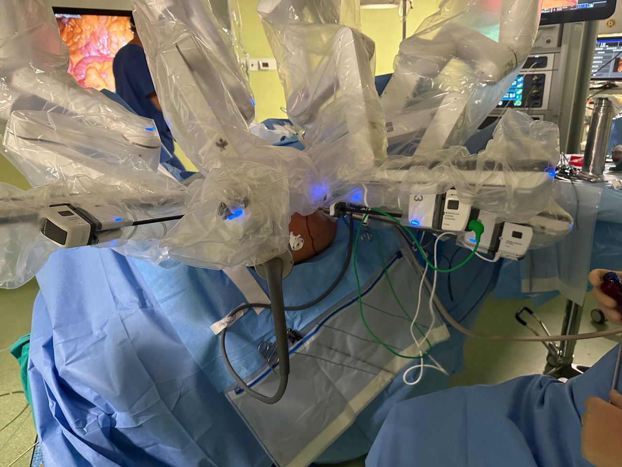 Immacolata Iannone-2