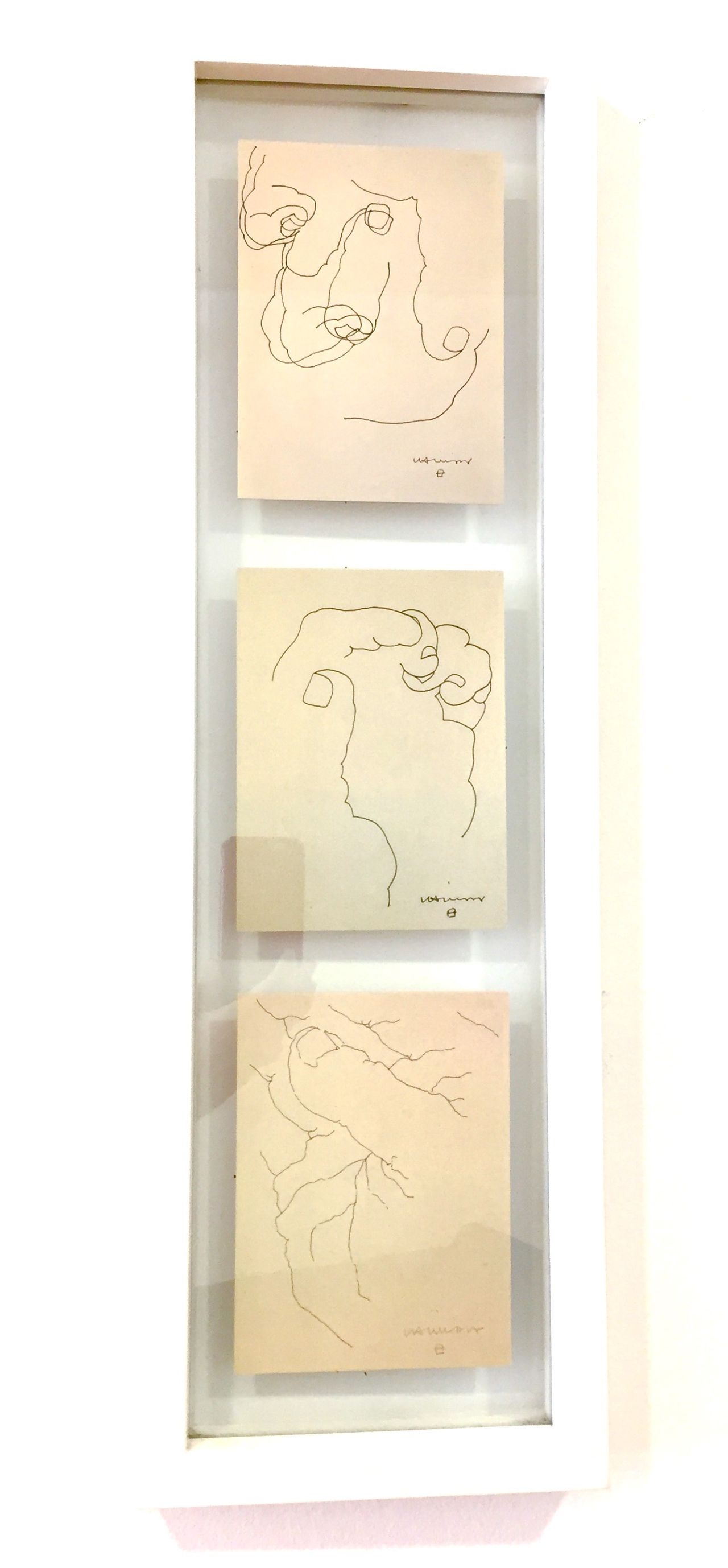 Ainhoa Goenaga Alzuri-15