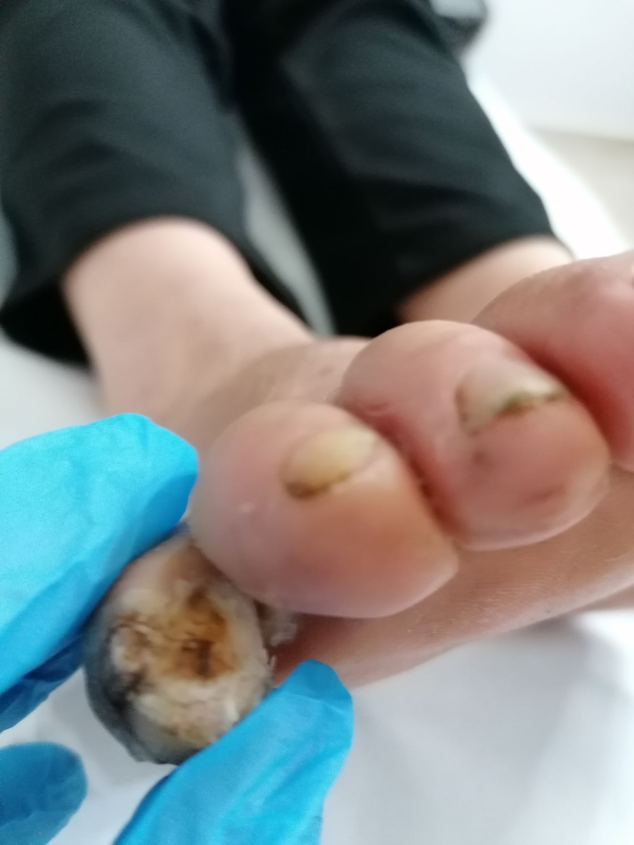 Kassandra Nicolosi-279