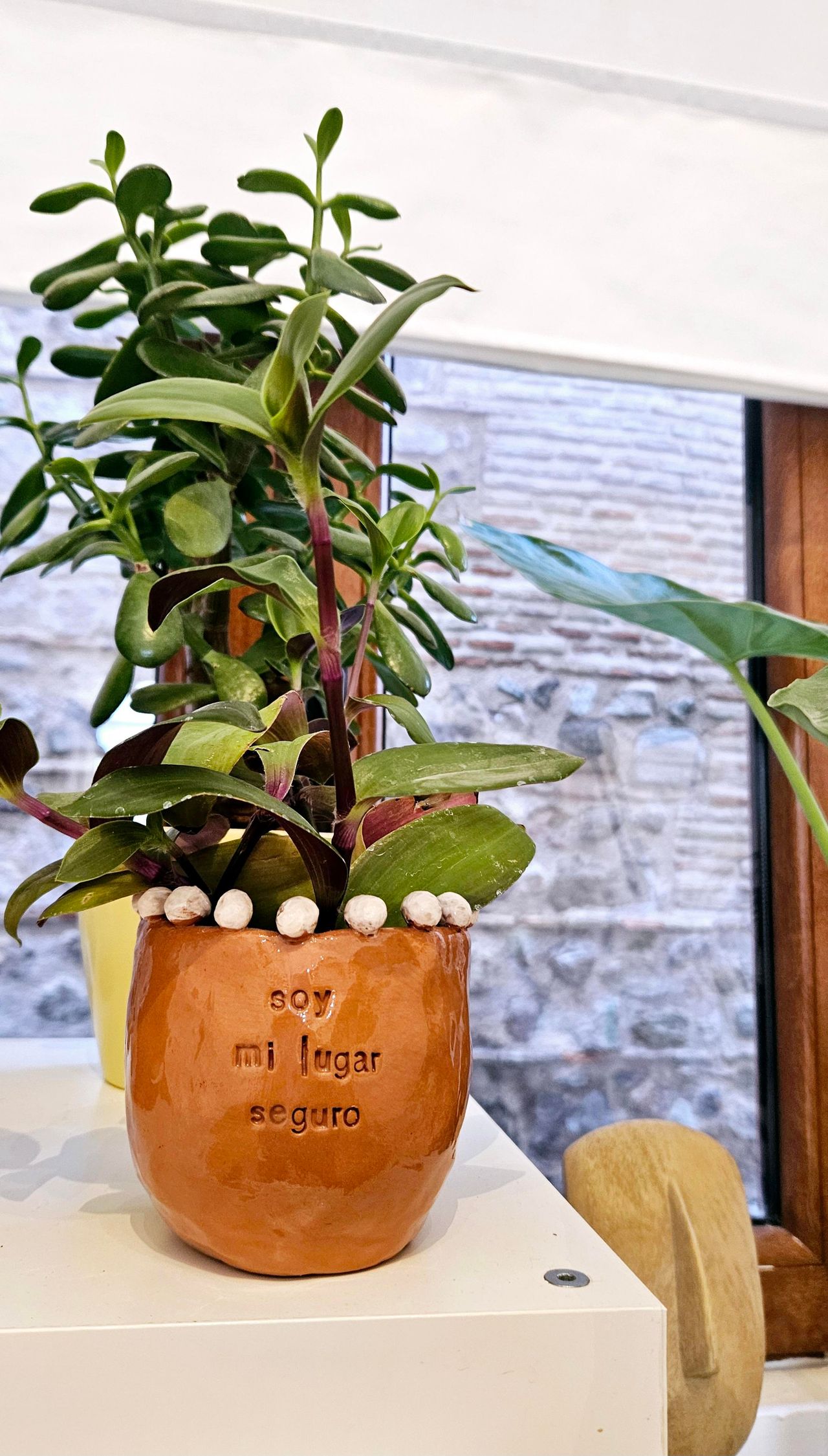 Carmen María García Díaz-4