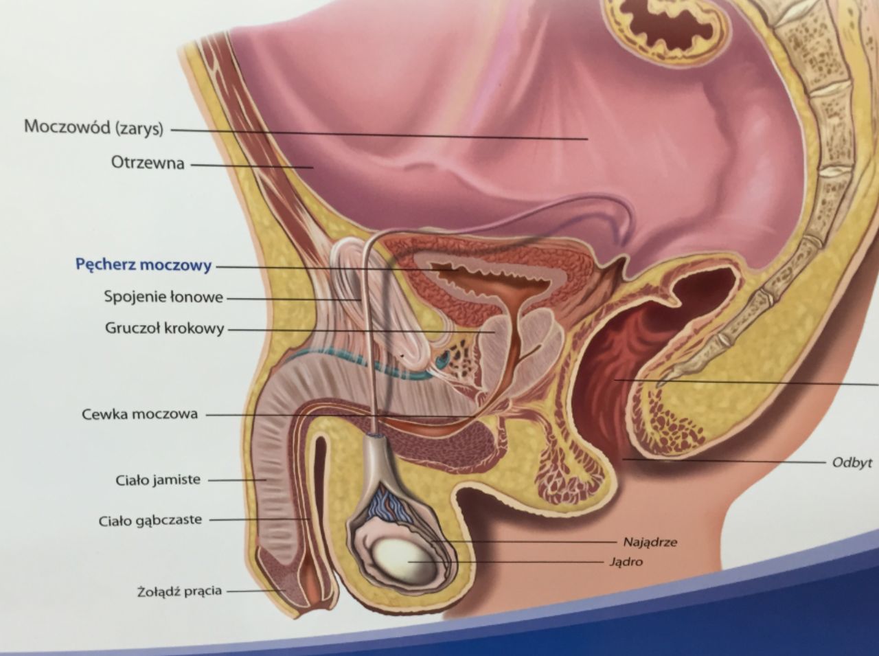 Bartłomiej Jakóbczyk-6