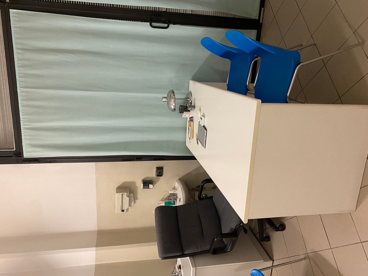 Elisabetta Franchini-1