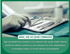 Ali Osman Emiroğlu-3