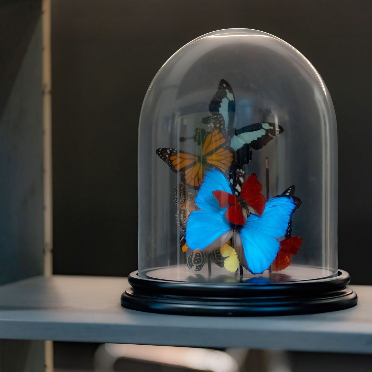 Frank Schlichtenbrede-10