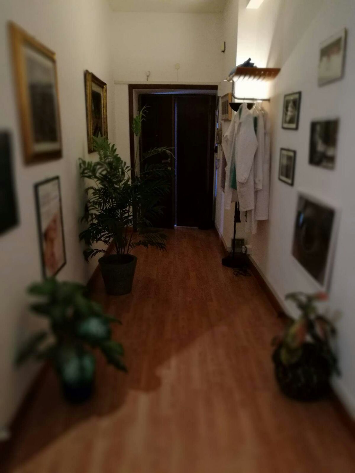 Fabrizio Paolo Modugno-2