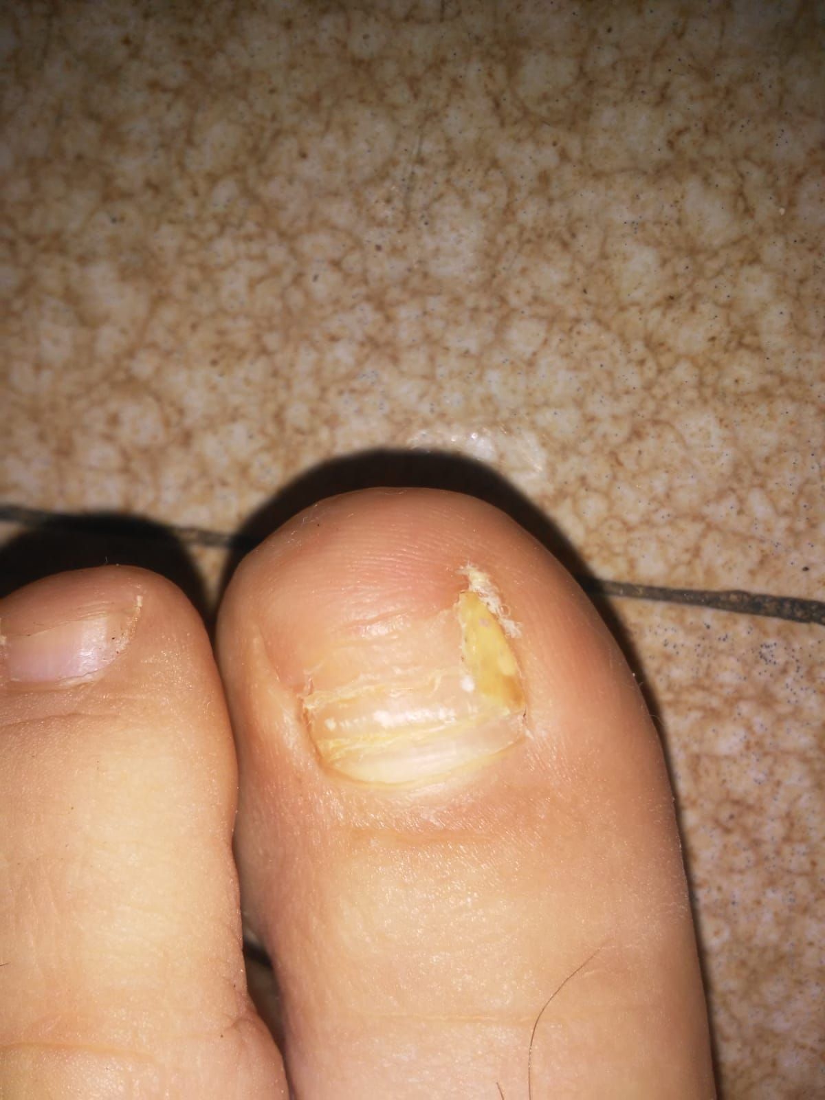 Kassandra Nicolosi-73