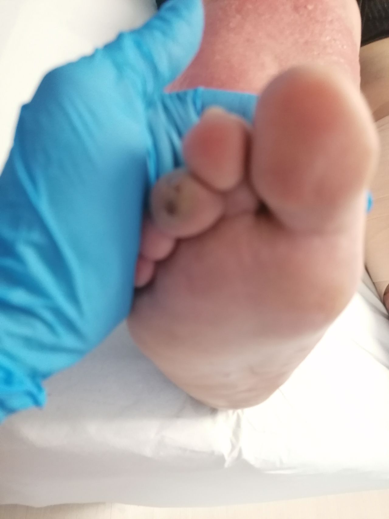 Kassandra Nicolosi-230