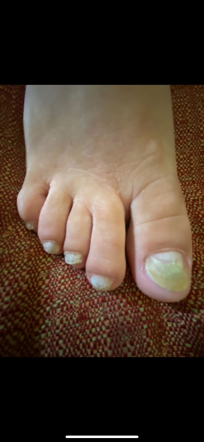 Kassandra Nicolosi-205