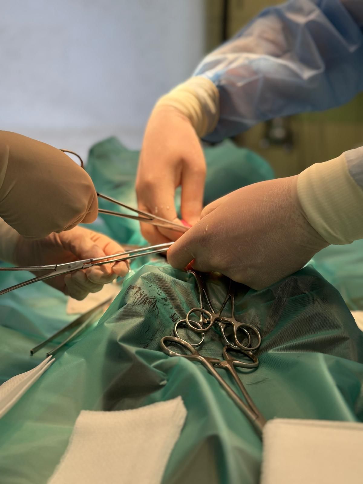 Radosław Fedaczyński-15