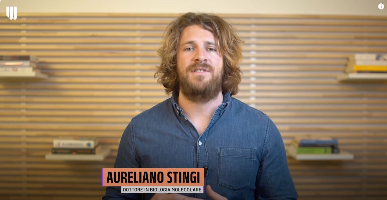 Aureliano Stingi-2