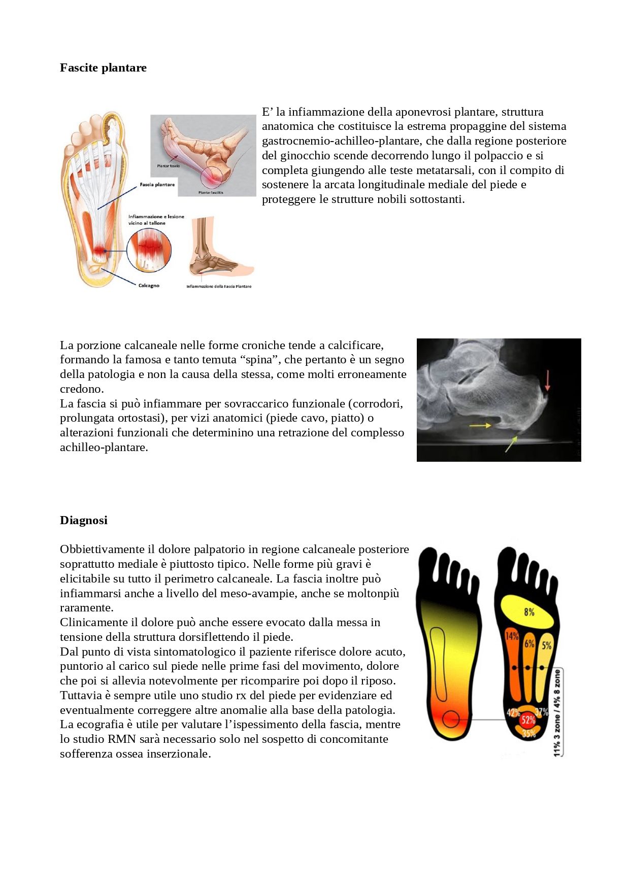 Alessio Manciameli-4