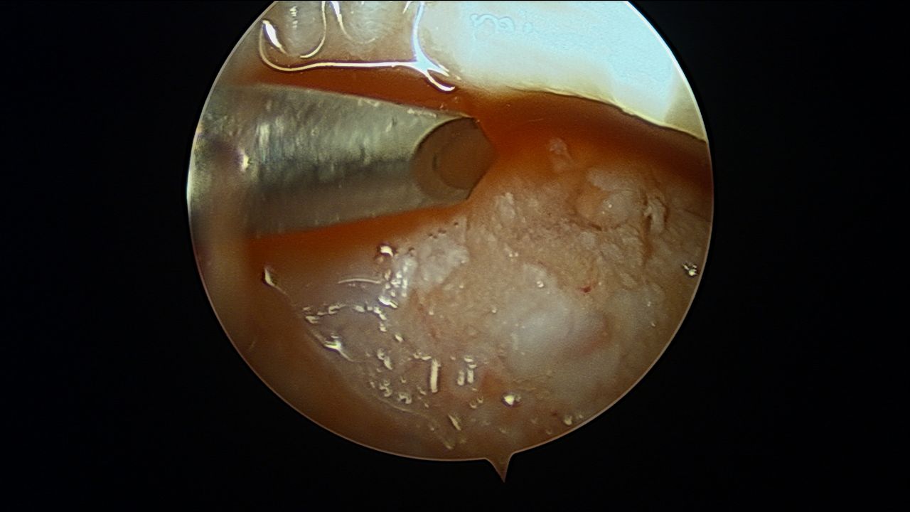 Eulogio Benito Martín-20