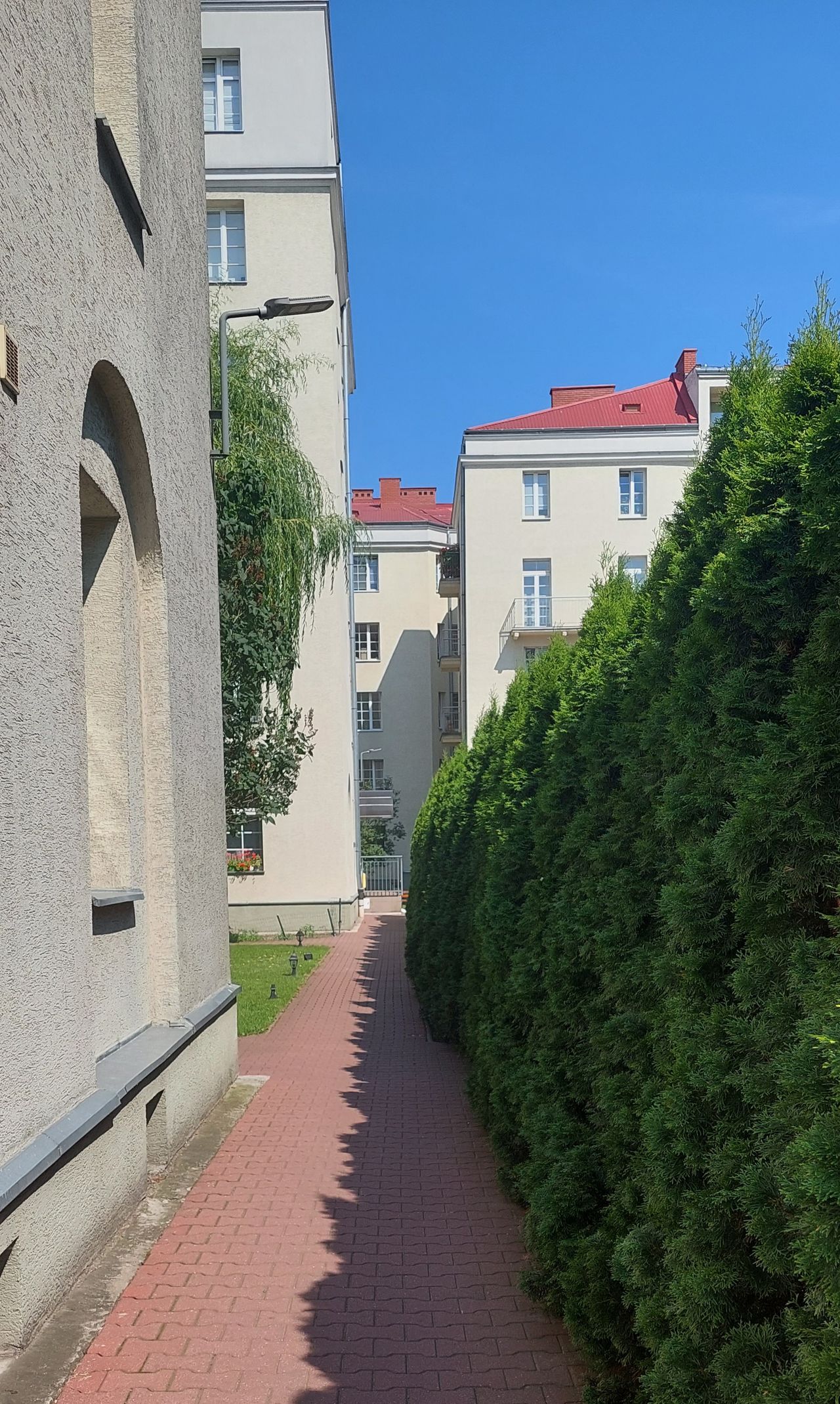 Justyna Goszczyńska-Prokopowicz-0