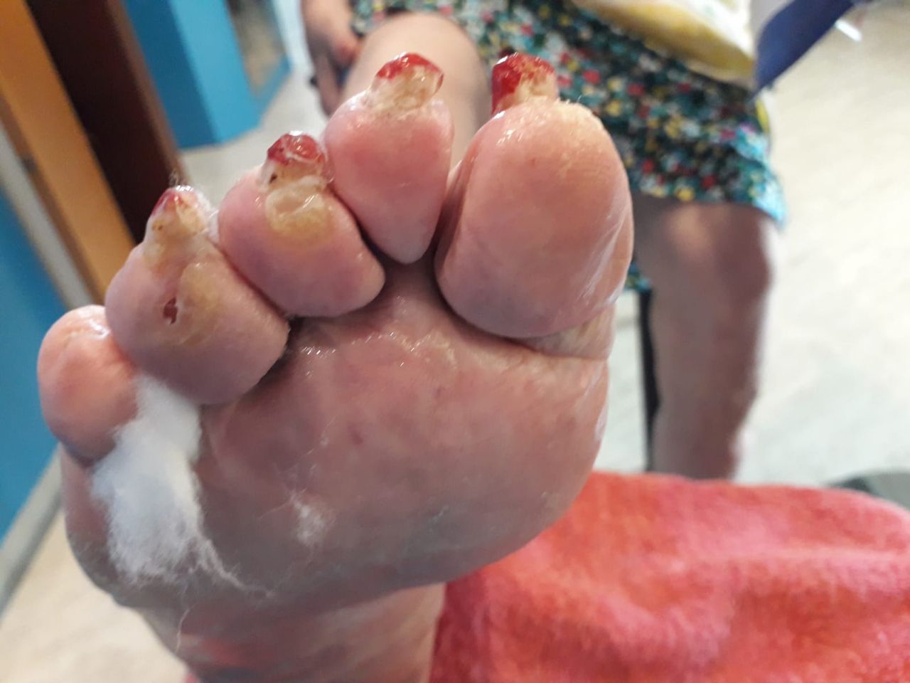 Kassandra Nicolosi-212