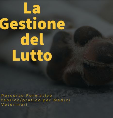 Elisabetta Baffoni-1