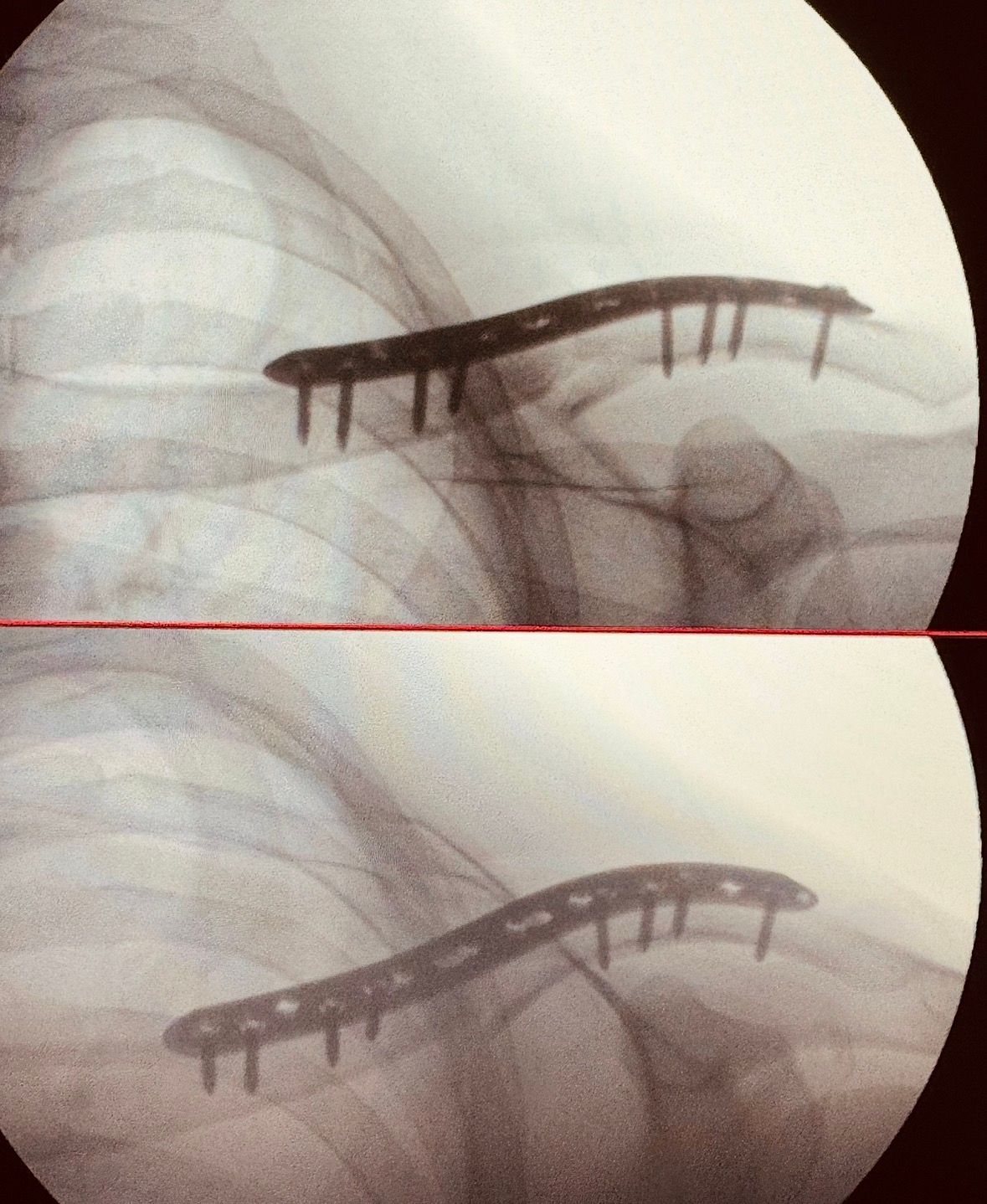 Daniele Passaretti-27