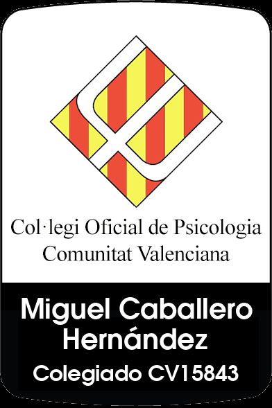 Miguel Caballero Hernández-0