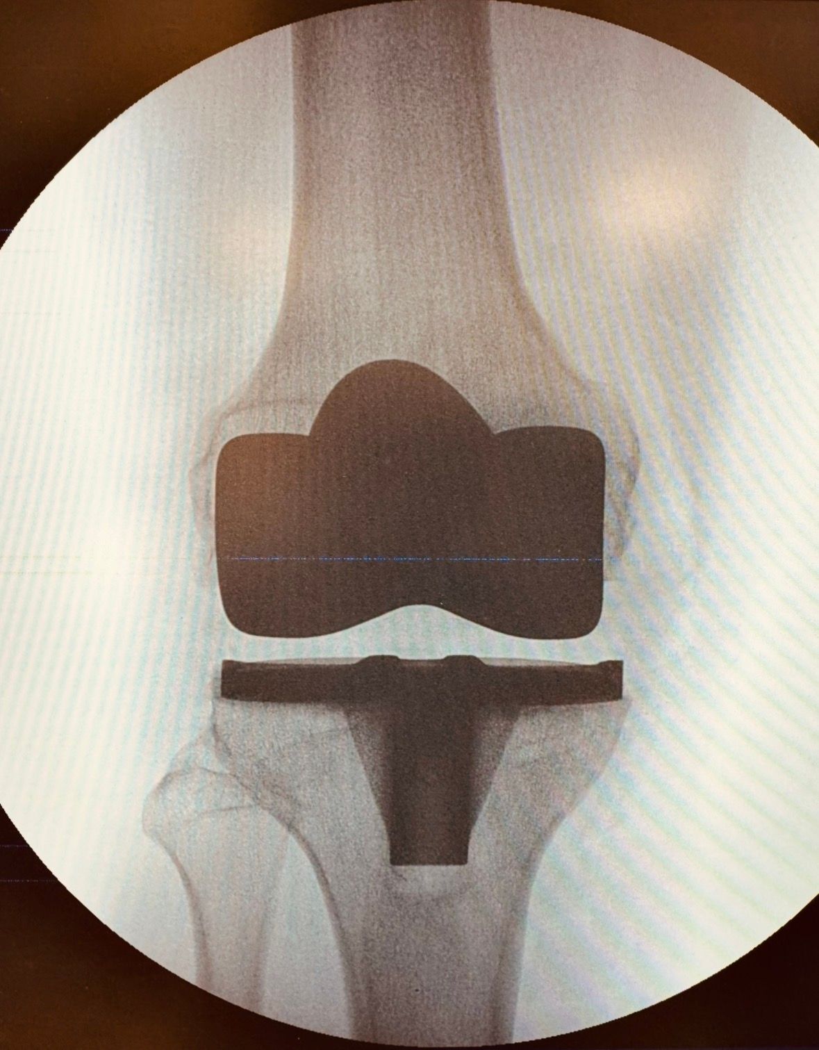 Daniele Passaretti-21