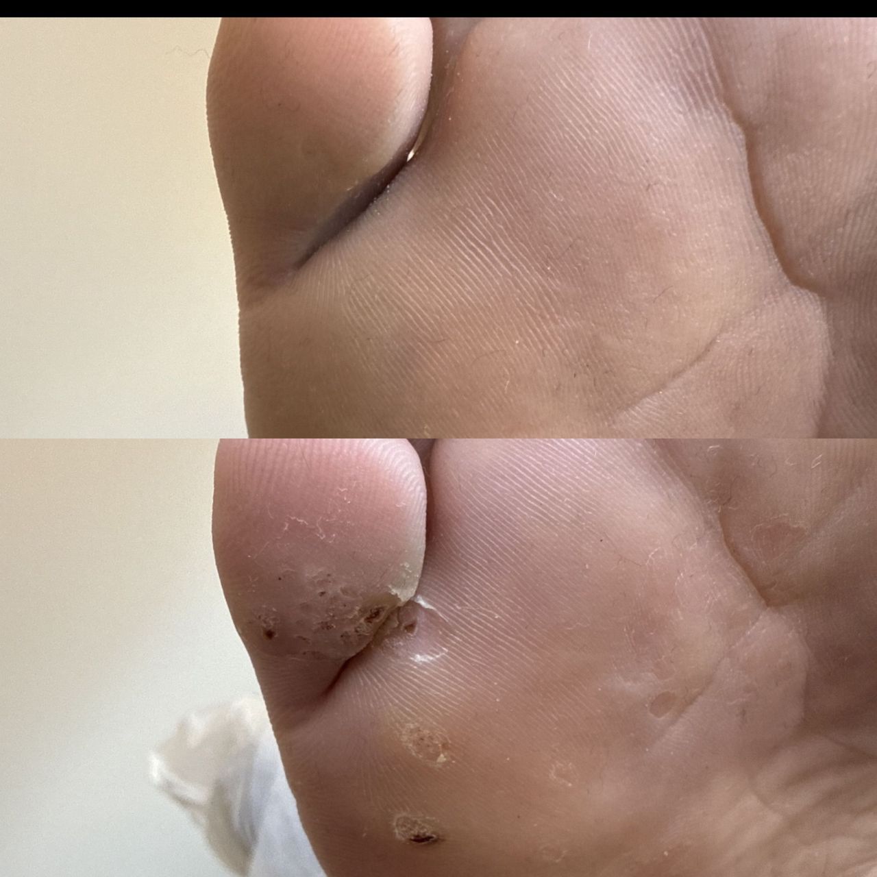 Martyna Wałaszkowska-42