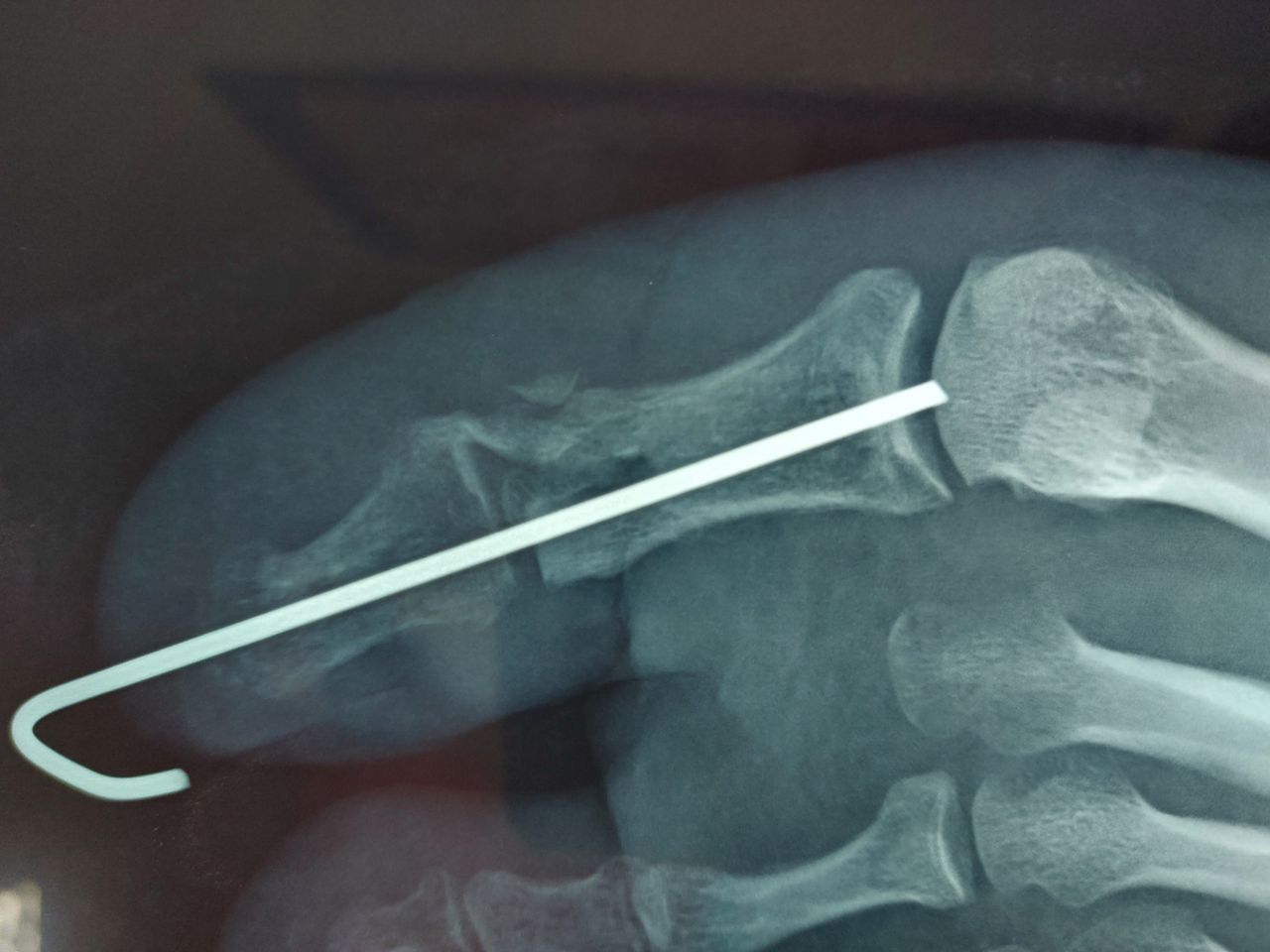 Giovanni Di Punzio-5