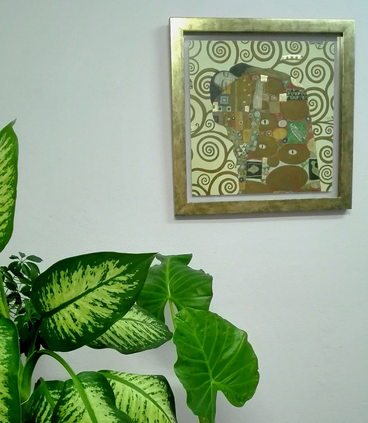 Fco. Javier Rodríguez Del Valle-12