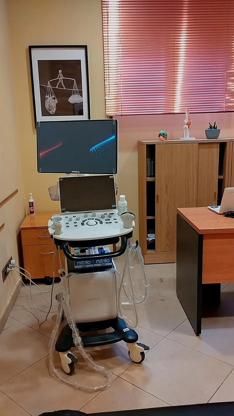 David Rodríguez Alamán-9