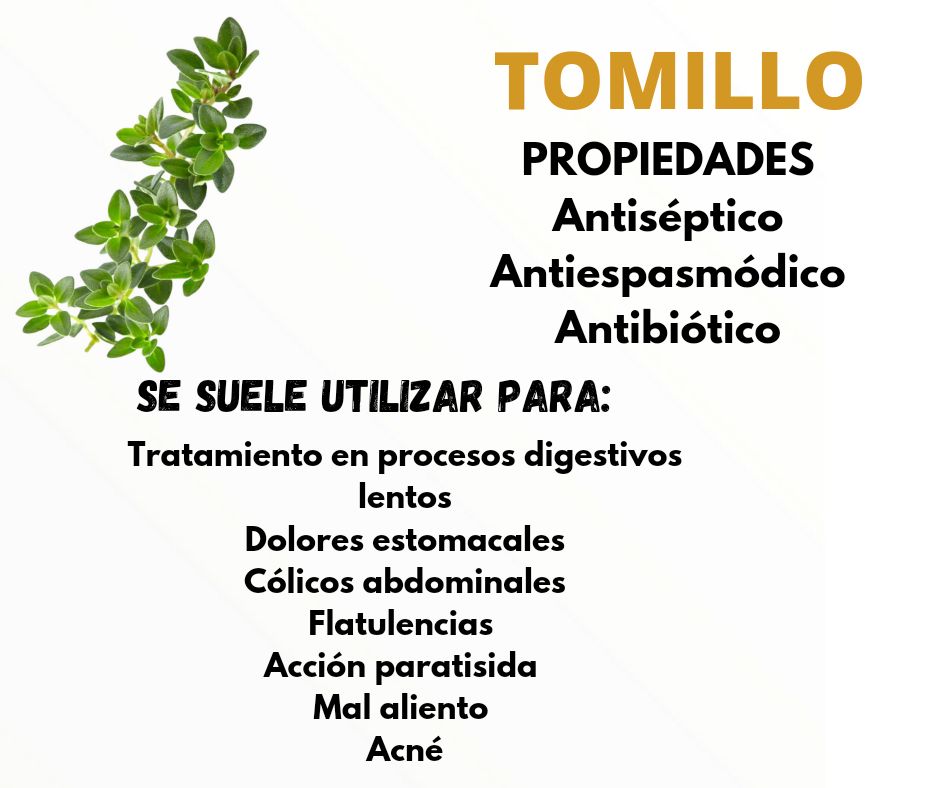 Beatriz Beltran Jordá-26