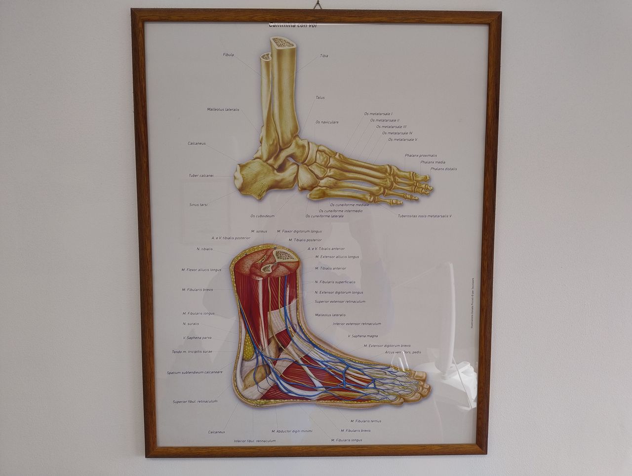 Gianmarco Del Brocco-6