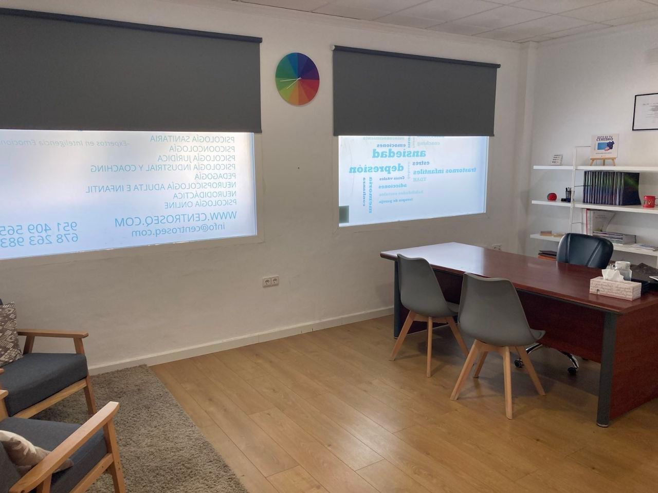 Desirée Castellano Olivera-2