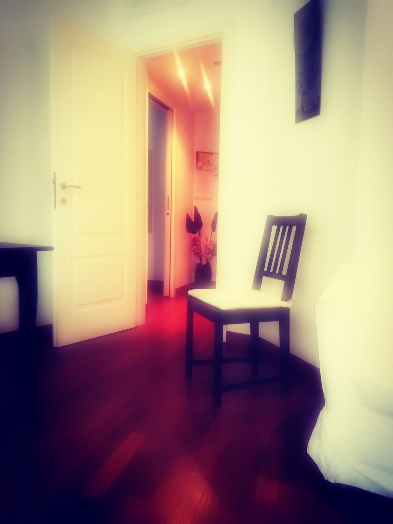 Caterina Cresciullo-8