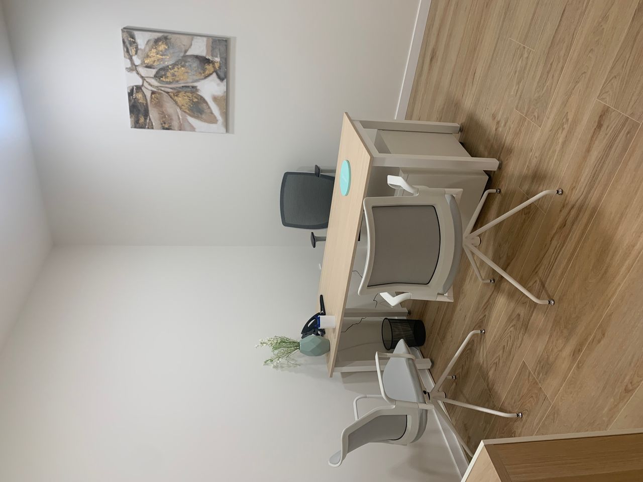 Rafael Gonzalez Oñate-26