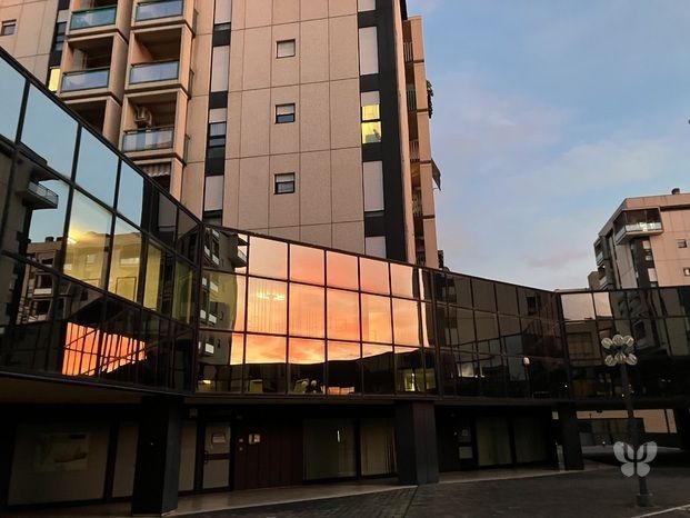 Alessandra Passini-2