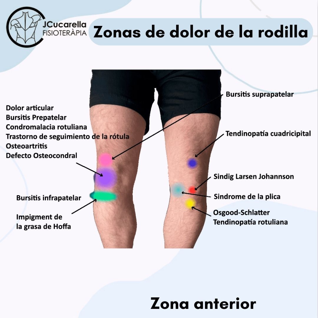 Javier Cucarella Bellvís-9