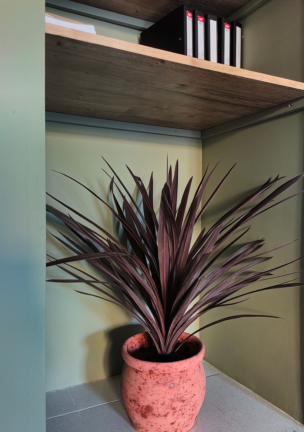 Ana Beatriz García Casas-6