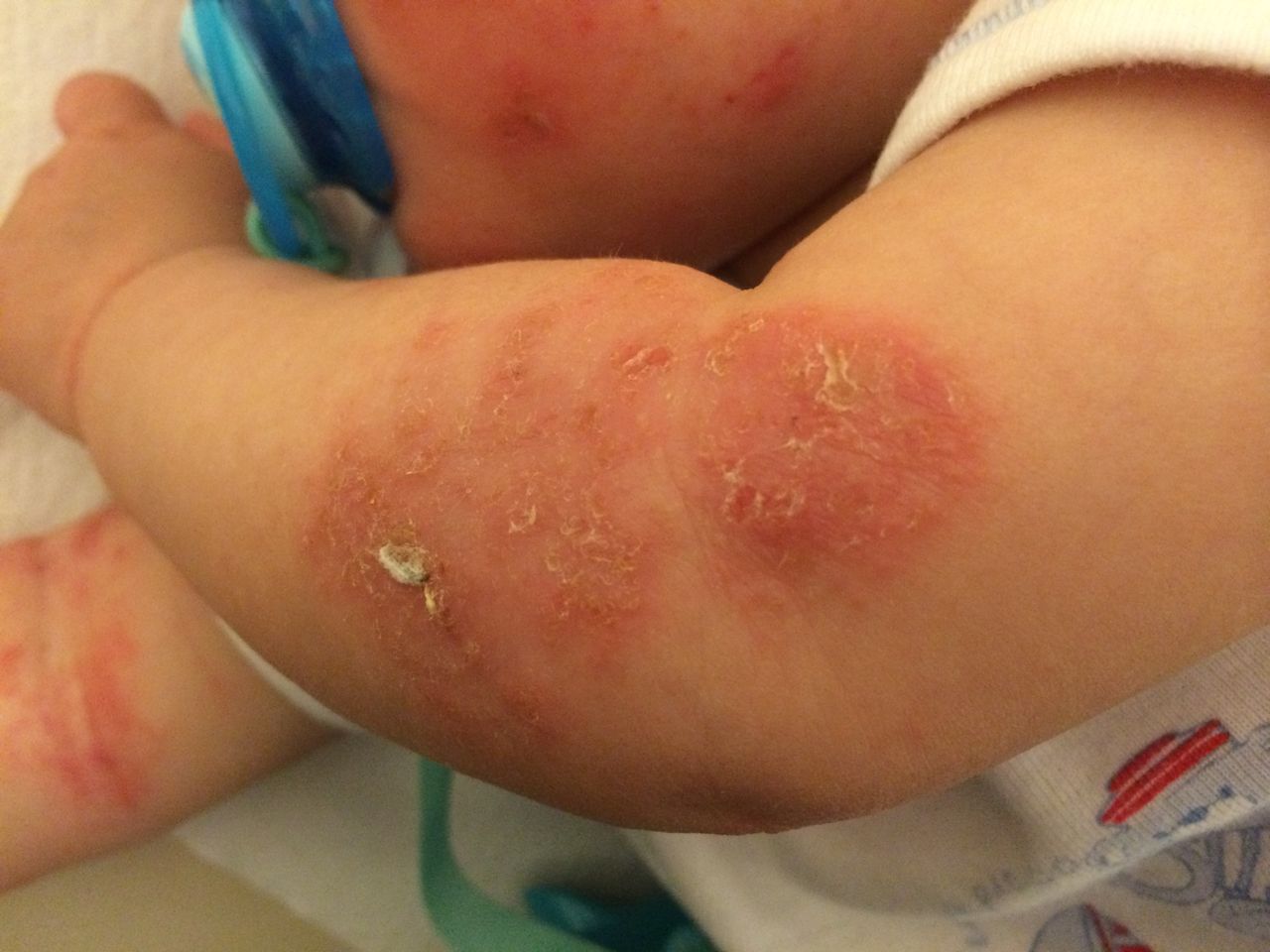 Maria Stefania Leto Barone-1