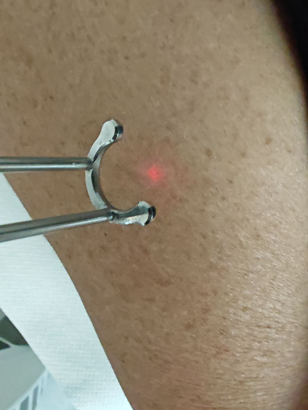 Michele Picciallo-16