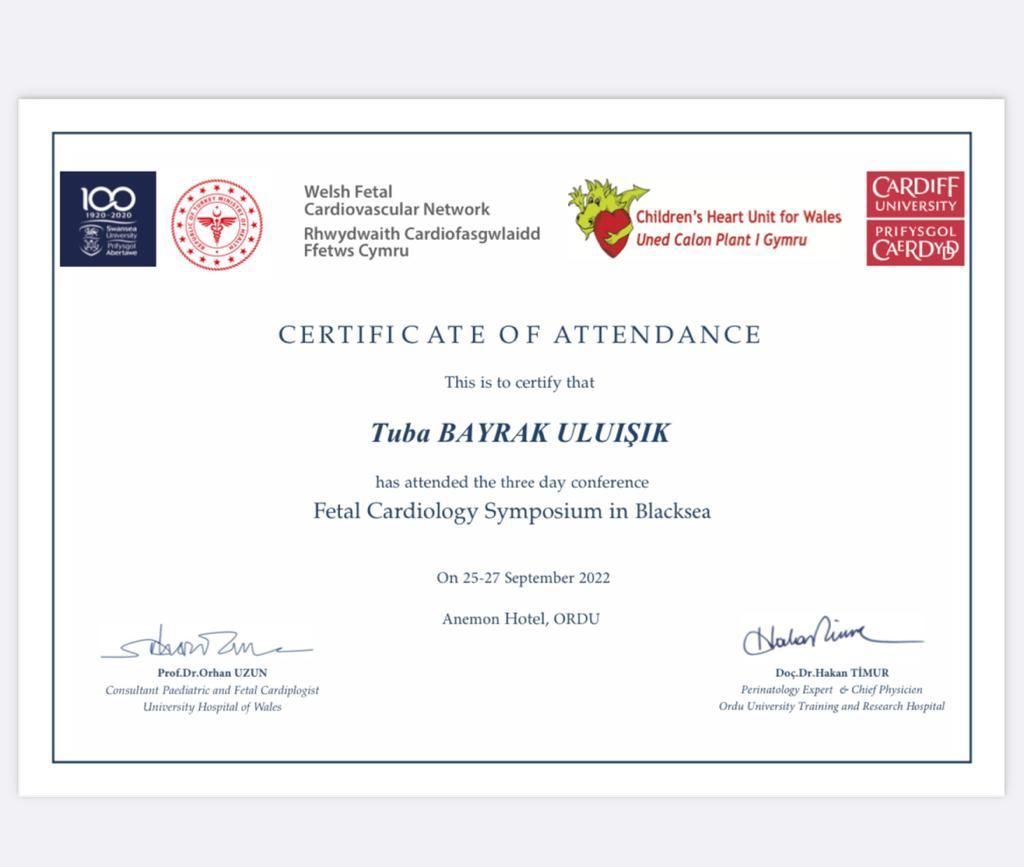 Tuba Bayrak Uluışık-4