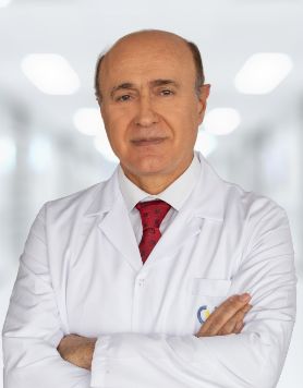 Ali Haydar Parlak-1
