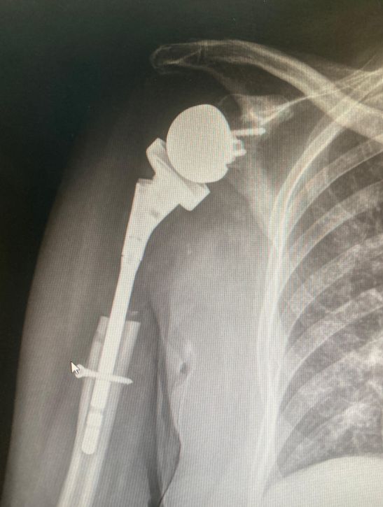 Nizamettin Güzel-15